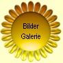 Bilder Gallerie